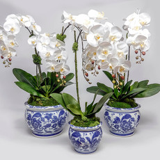 Blue and White Pot with Orchid, small