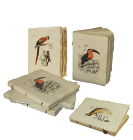 Vintage Birds Parchment Paper Notebook, Small