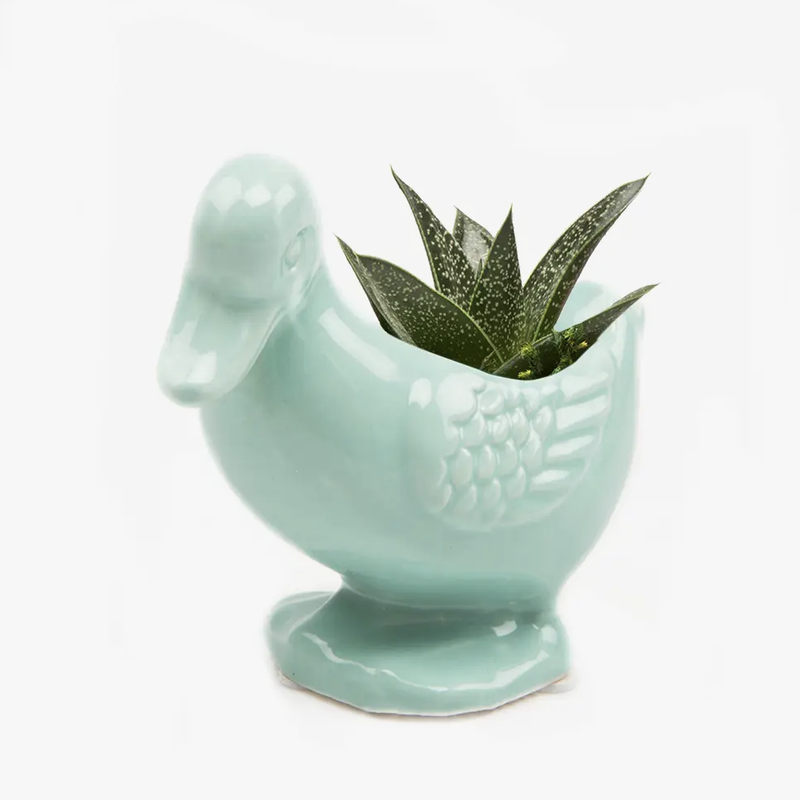 Lucy the Duck Planter