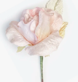 Velvet Rose, soft pink