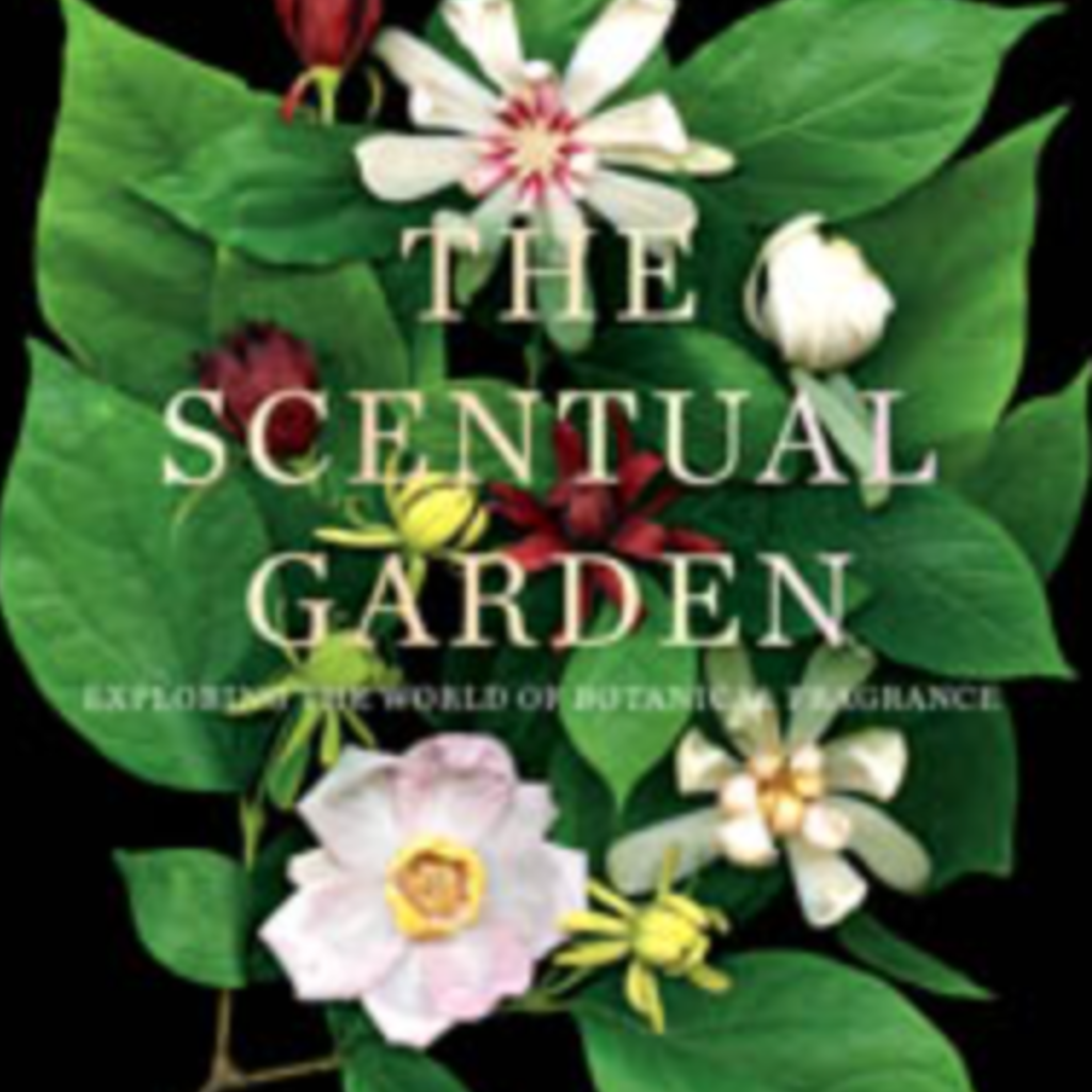 The Scentual Garden Exploring the World of Botanical Fragrance