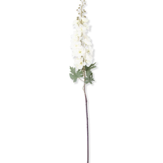 White Delphinium Stem