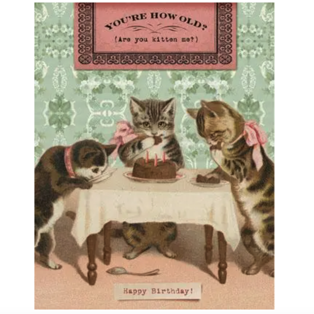 "Are you kitten me" Greeting Card