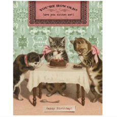 "Are you kitten me" Greeting Card