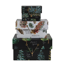 Gift Boxes with Evergreen Botanicals & Closures, Medium