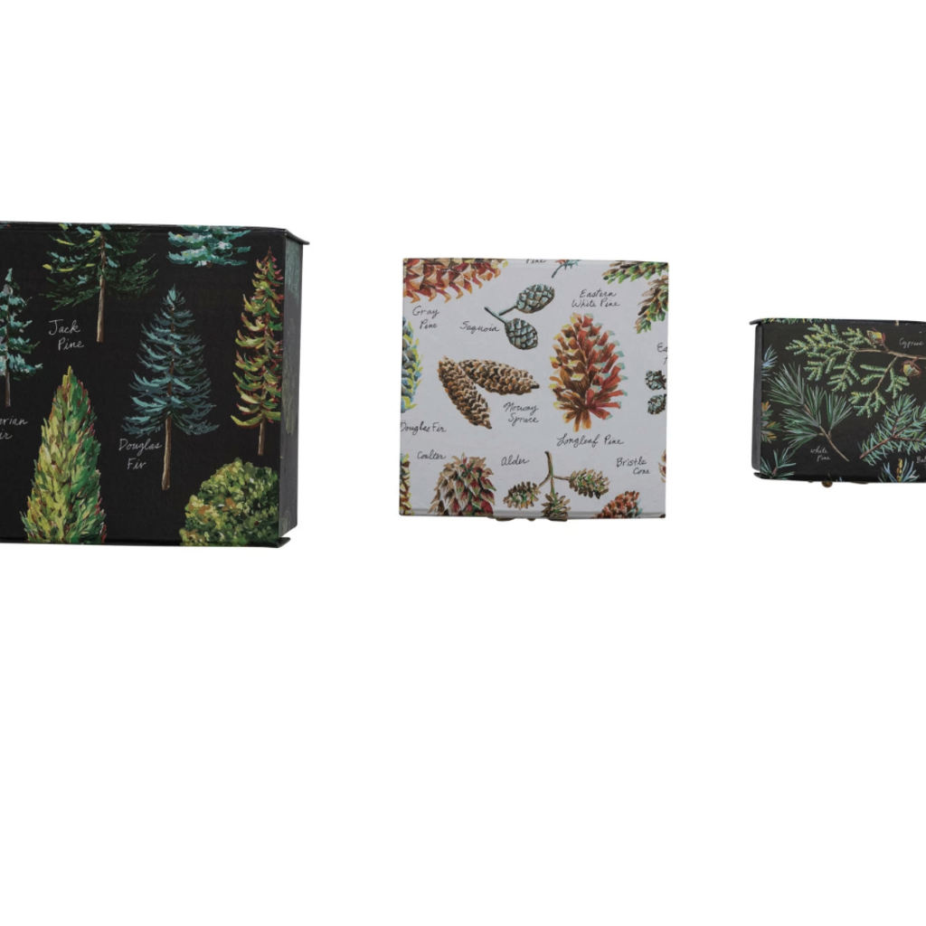 Gift Boxes with Evergreen Botanicals & Closures, Large