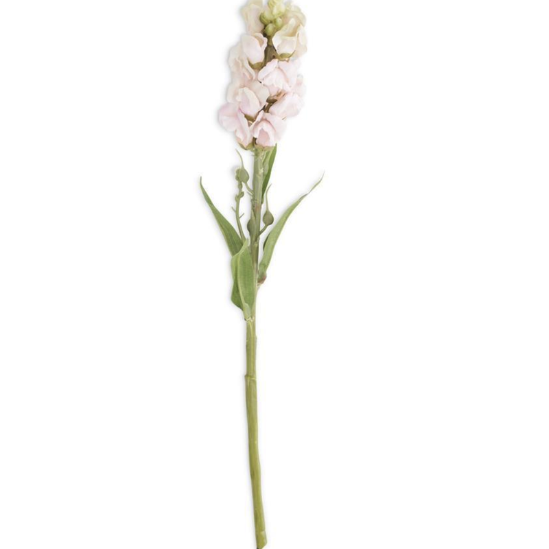 Pink Stock Flower Stem