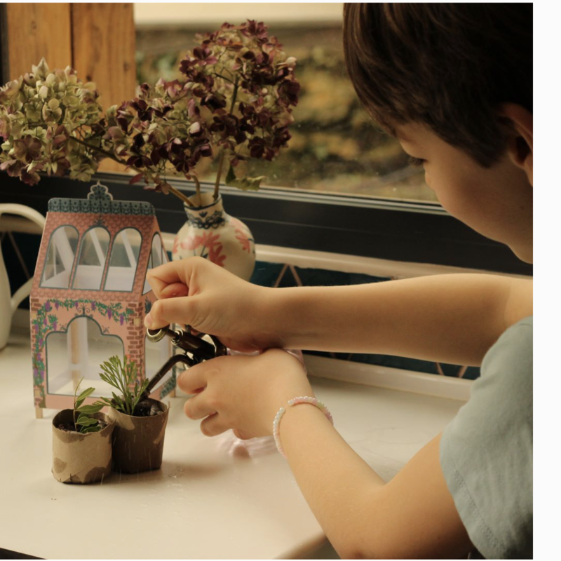 Mini Greenhouse and Seed Kit