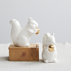 Squirrel Salt and Pepper Shakers