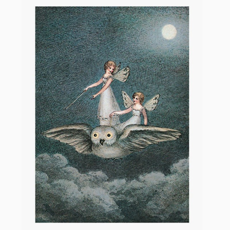 Fairies Riding Owl Birthday Card