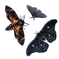 Halloween 'Death's Head' Paper Moth Set