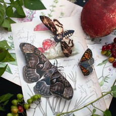 Halloween 'Owl' Moth Set