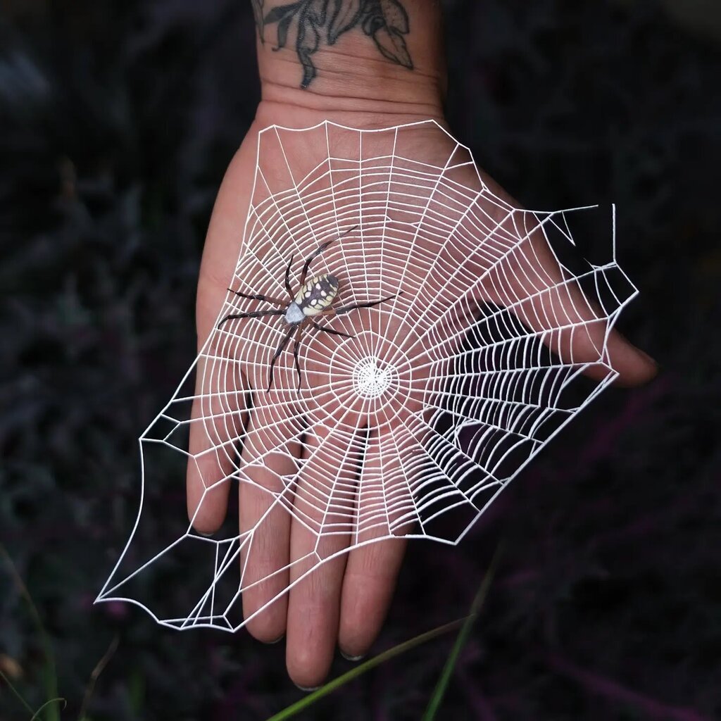 Halloween 'Weaver' Spiderweb & Spider Paper Set