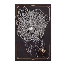 Halloween 'Weaver' Spiderweb & Spider Paper Set