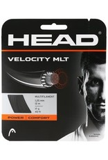 Head Head Velocity MLT String