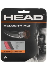 Head Head Velocity MLT string