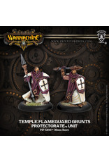Warmachine Protectorate - Flameguard blister (2)