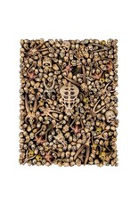 Citadel Citadel Skulls