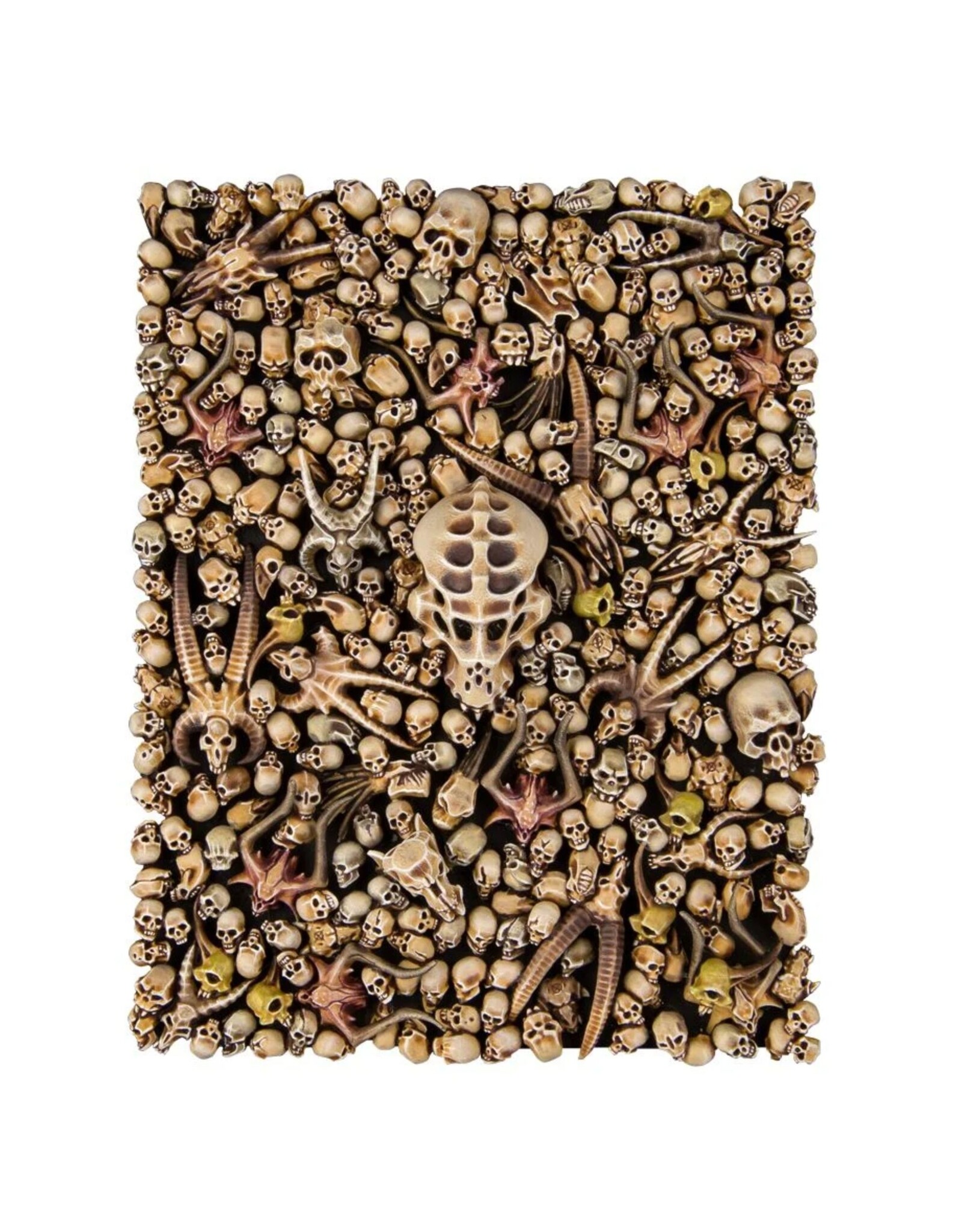 Citadel Citadel Skulls