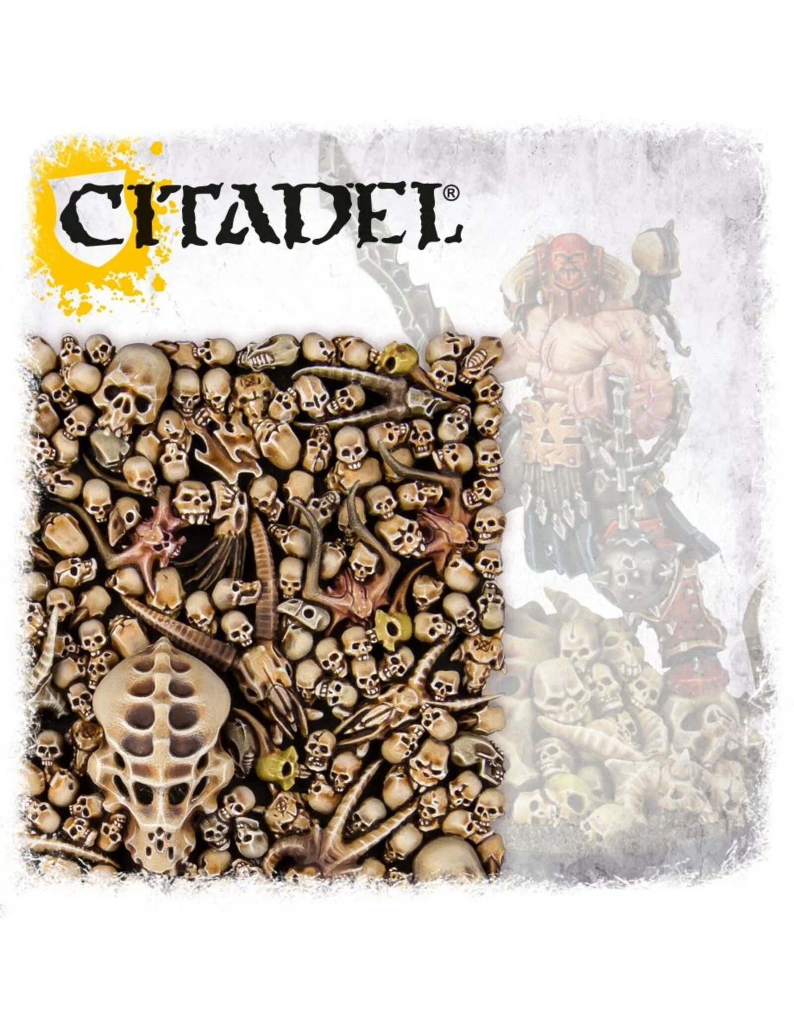 Citadel Citadel Skulls