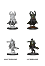 Nolzur's Marvelous Miniatures D&D D&D NMU - Revenant (W12)