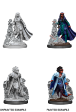 Nolzur's Marvelous Miniatures D&D D&D NMU - Female Tiefling Sorcerer (W12)