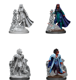 Nolzur's Marvelous Miniatures D&D D&D NMU - Female Tiefling Sorcerer (W12)