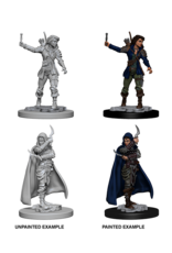 Dungeons & Dragons D&D NMU - Human Female Rogue