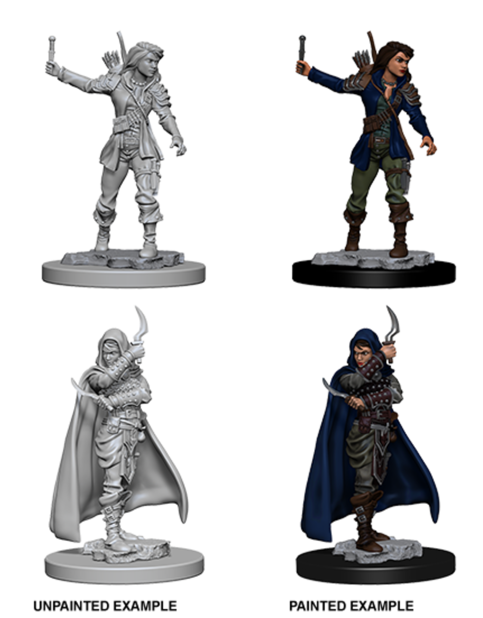 Dungeons & Dragons D&D NMU - Human Female Rogue