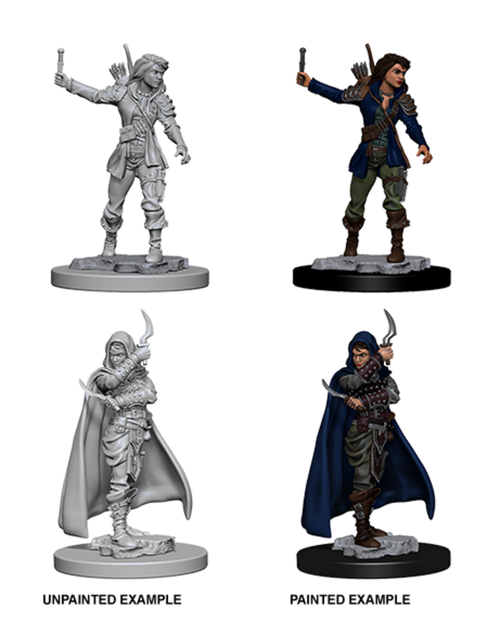 Dungeons & Dragons D&D NMU - Human Female Rogue