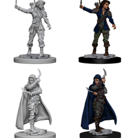 Dungeons & Dragons D&D NMU - Human Female Rogue