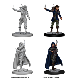 Dungeons & Dragons D&D NMU - Human Female Rogue