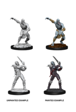 Nolzur's Marvelous Miniatures D&D D&D NMU - Wight & Ghast