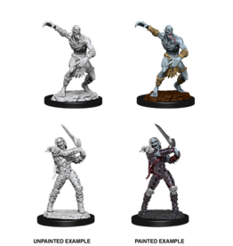 Nolzur's Marvelous Miniatures D&D D&D NMU - Wight & Ghast