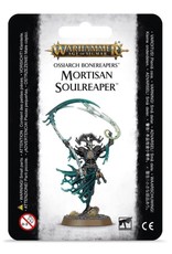 Age of Sigmar Mortisan Soulreaper