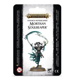 Age of Sigmar Mortisan Soulreaper