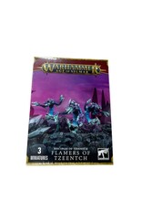 Age of Sigmar Flamers of Tzeentch