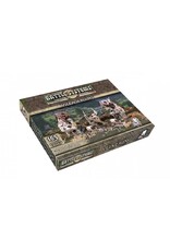 Battle Systems Village Ruins