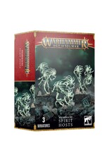 Age of Sigmar Nighthaunt - Spirit Hosts