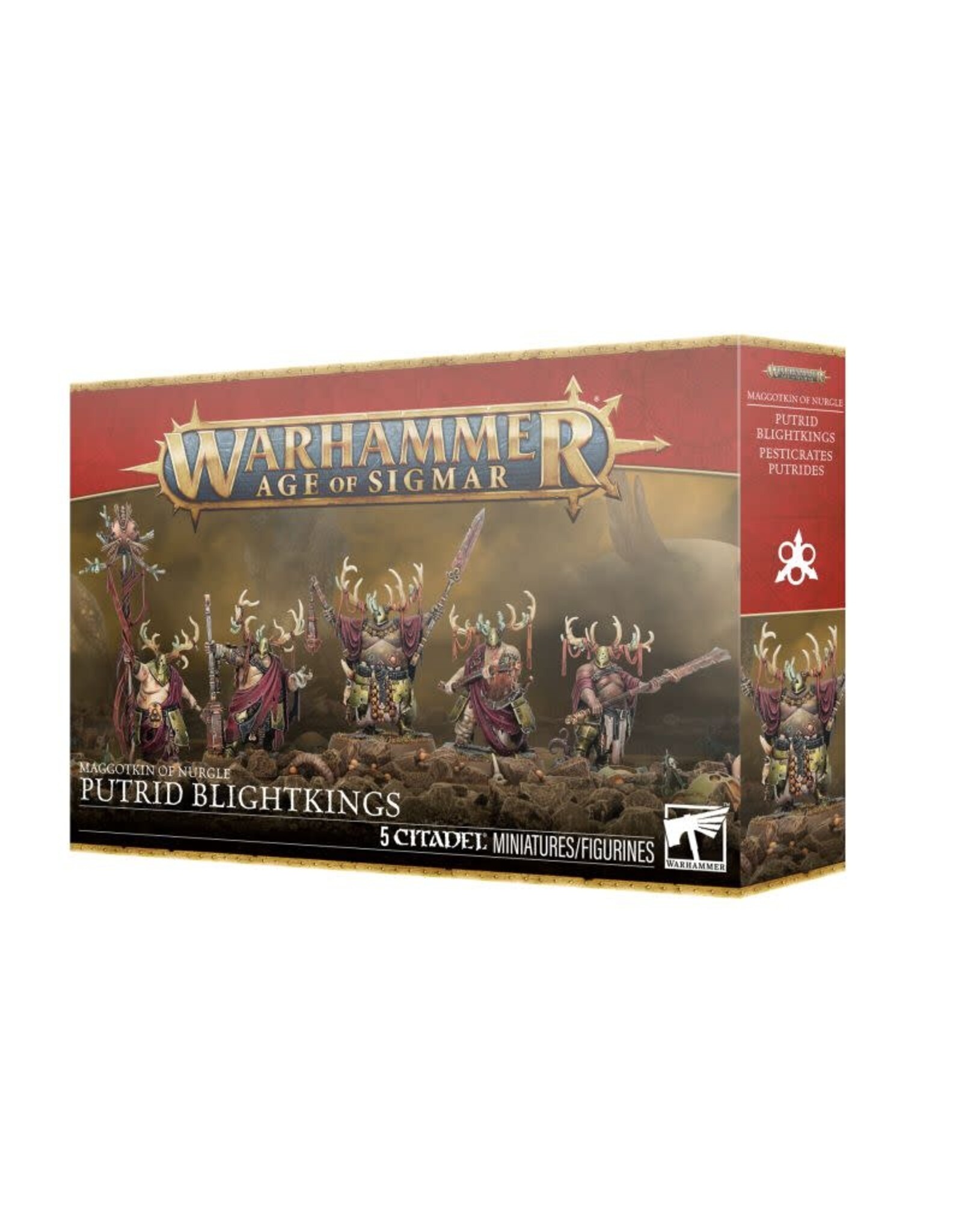 Age of Sigmar Putrid Blightkings