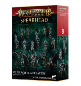 Age of Sigmar Spearhead Kavalos Vanguard