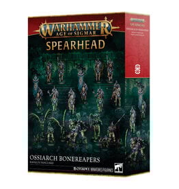 Age of Sigmar Spearhead Kavalos Vanguard