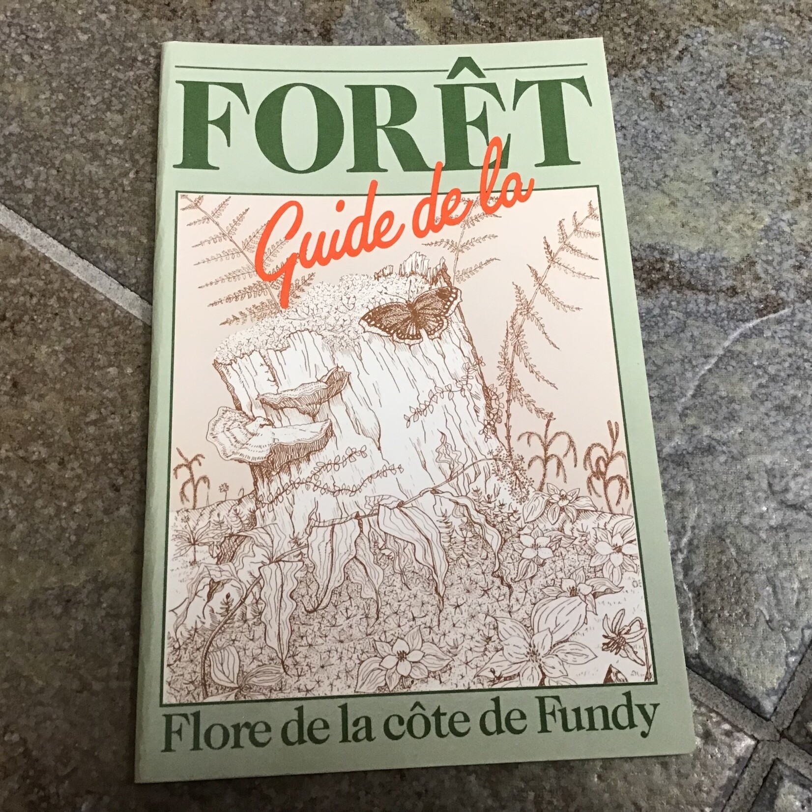 FORET GUIDE DE LA