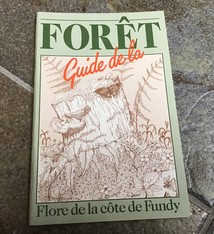 FORET GUIDE DE LA