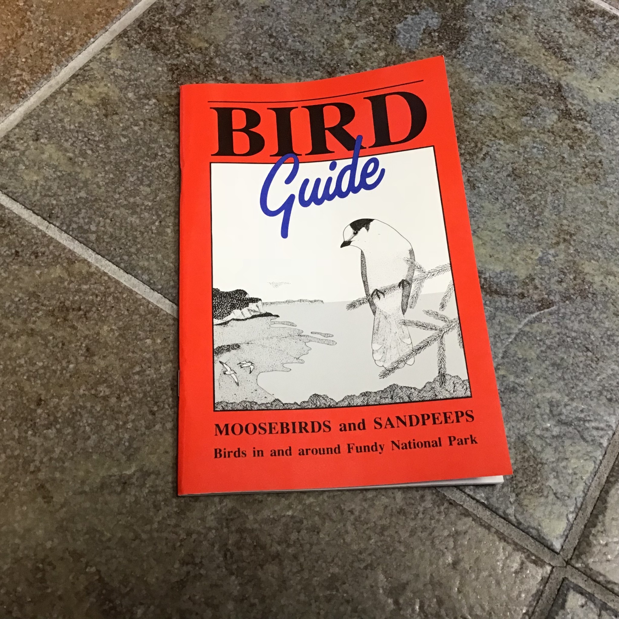 BIRD GUIDE
