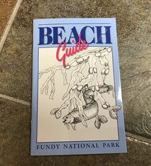 BEACH GUIDE