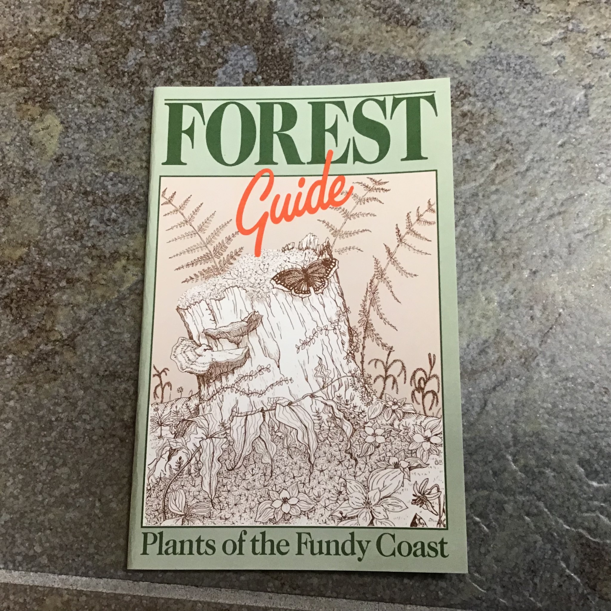FOREST GUIDE