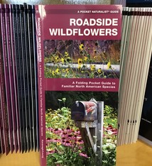 FOLDING GUIDE ROADSIDE WILDFLOWERS