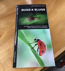 FOLDING GUIDE BUGS & SLUGS
