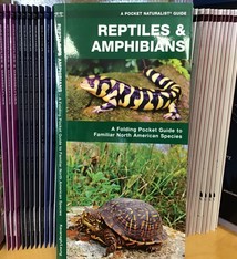 FOLDING GUIDE REPTILES & AMPHIBIANS